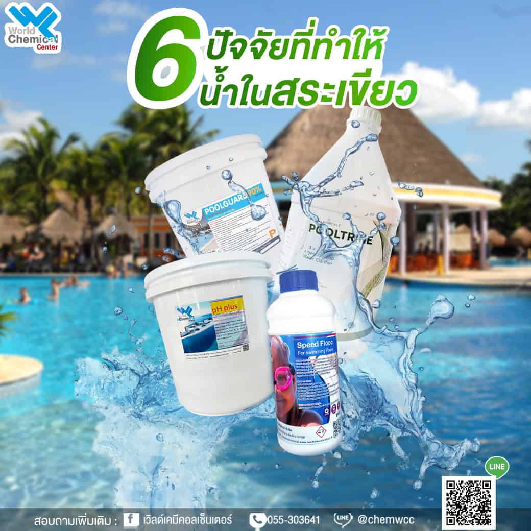 6 ปัจจัยหลักที่ทำให้น้ำในสระเขียว แก้ได้ ถ้าเข้าใจให้ถูกจุด